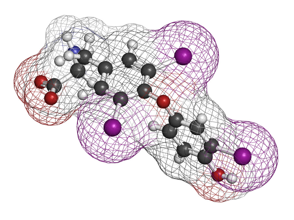 Паротин. Трийодтиронин молекула. Трийодтиронин (t3). Модель про гормональные. Iodine Atom.